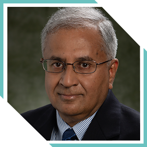 Kanad Ghose BU Site DirectorES2 andProfessor of Computer Science,Binghamton University